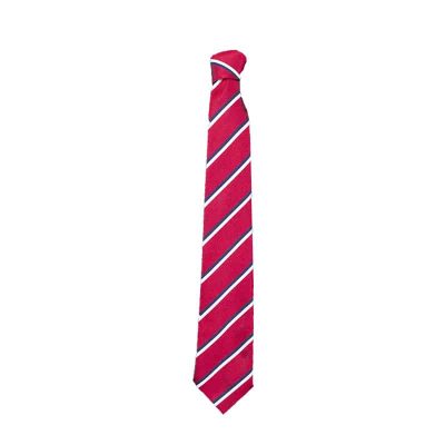 Esher High School Tie