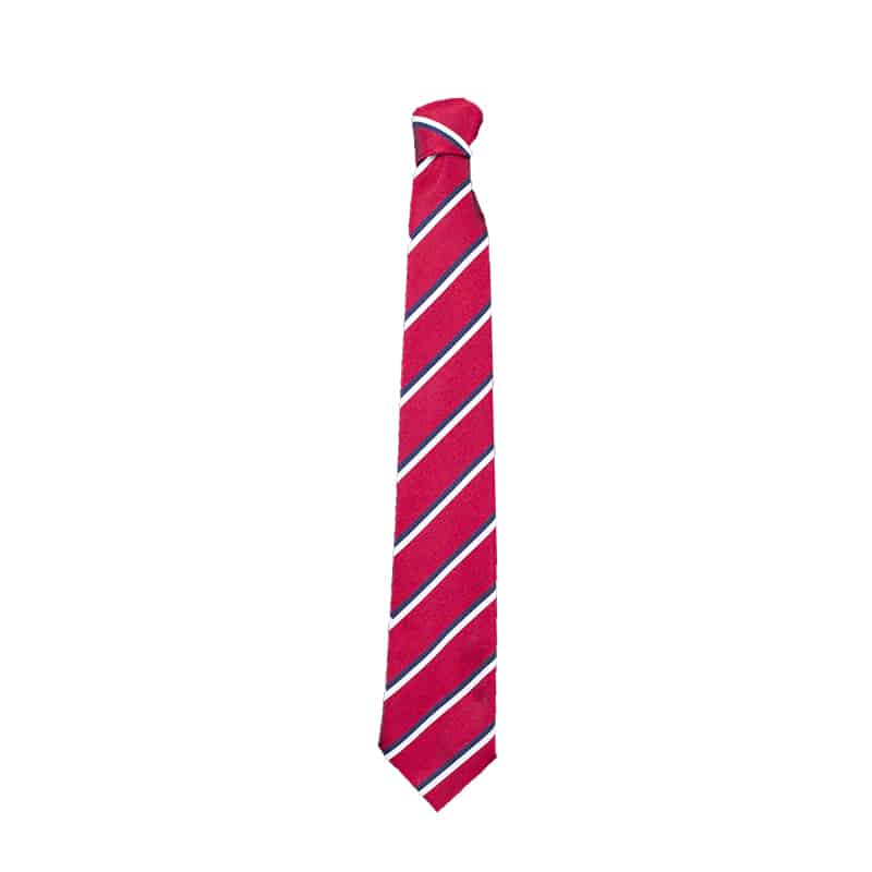 Esher High School Tie